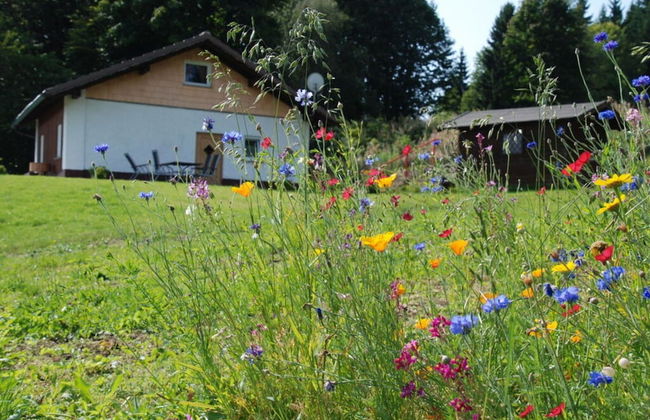 Attractive Apartment in Haidmuhle - Foto 19