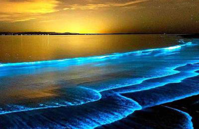 STUDIOS - Vacation Condos in Kona - Foto 57