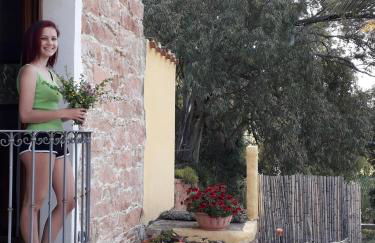 Sa Perda Arrubia - Foto 25