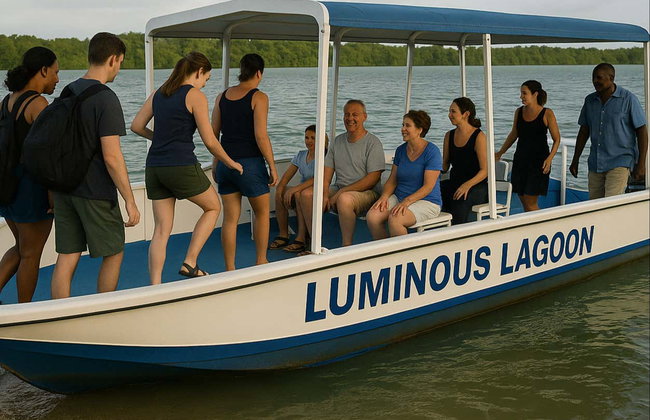 Luminous Lagoon Night Trip - Foto 8