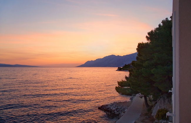 Sunceva Postelja - Foto 46