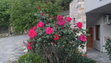 orminia house upper level - Foto 3