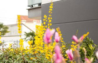 Studio cosy 28 mn aéroport CDG 34 mn chatelet - Foto 6