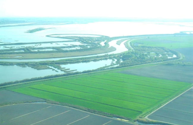 Pet-friendly Getaway With Pool - Foto 38