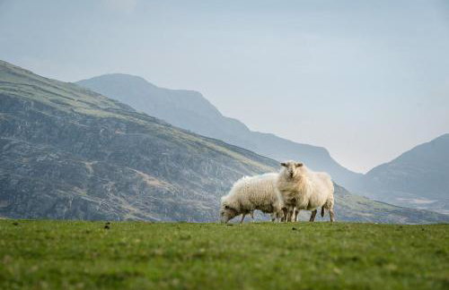 Maes-Y-Cwm - Foto 28