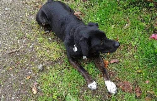 The Old Engine House - Foto 15