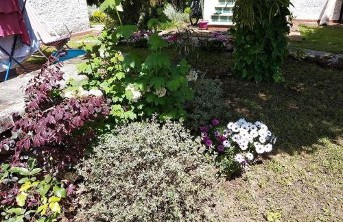 Alimede al Circeo - Foto 11