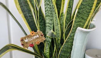 BB Cadore casa vacanze - Foto 5