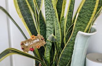 BB Cadore casa vacanze - Foto 5