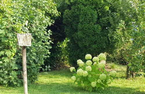 Ferienhaus Jutta am Bodensee - Foto 23