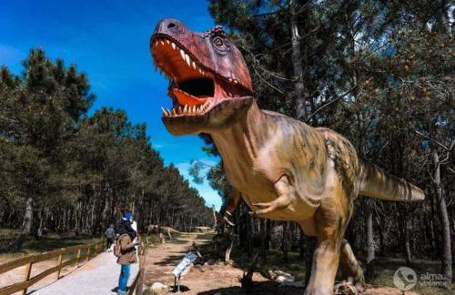 Casa do Sol - Foto 69