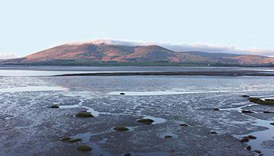 Myrtle Cottage - 28177 - Foto 2