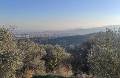 Admonis - Home in the olive grove - Foto 21