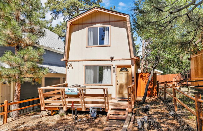 Heavenly Bear #2362 - Foto 21