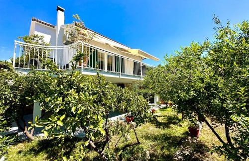 Perla & Palma - Foto 11