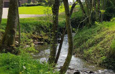 Gite des étangs de Saint Bale - Foto 14
