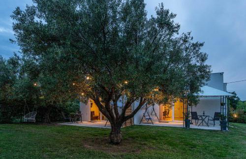 Mellagia Suites Kassandreia - Foto 42