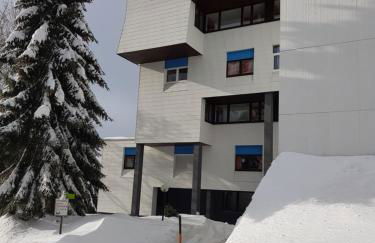 Graf's Apartment Sankt Englmar - Foto 32