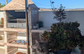 APARTAMENTOS LA PALMERA - Foto 46