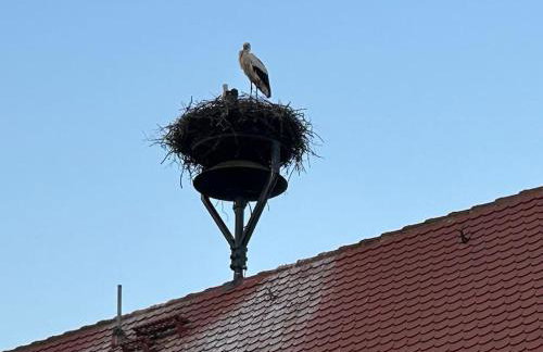 Ferienwohnung am Storchennest - Foto 61