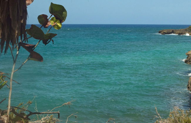 Alejandro de Humboldt National Park Trip - Foto 1