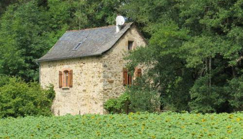 Les Rives de Saint-Blaise - Maison en pleine nature à Najac - Photo 2, Garden
