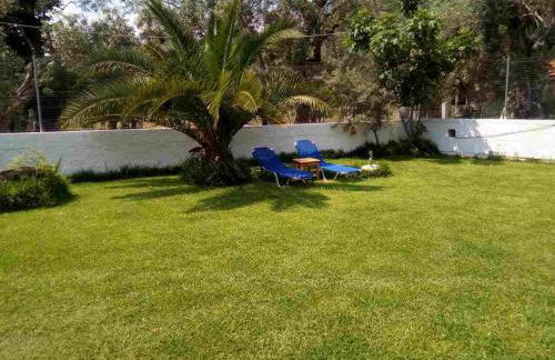 Menelaos Apartments - Foto 9