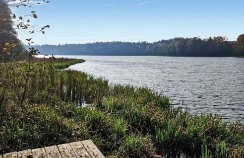 Cozy Home In Stara Dobrzyca With Wifi - Foto 8