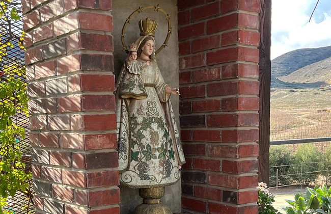 Private Deluxe Wine Tour to Valle de Guadalupe by Luxury Vehicle - Photo 7