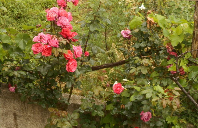 Split-level house in East Pelion - Foto 9