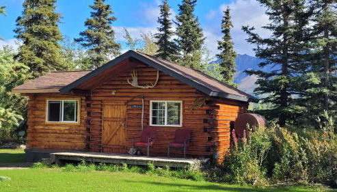 Little Bear Getaway Cabins - Foto 2