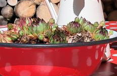 Ferienwohnungen Sternkopf - Photo 31