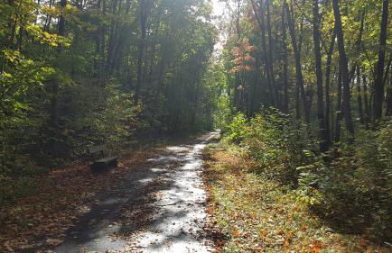 Ferienhaus Adelon - Foto 37