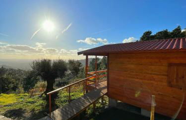 Quinta Altamira - Foto 18