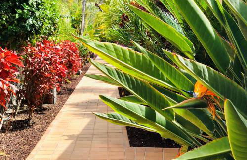 Holiday Club Playa Amadores - Foto 18