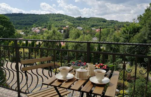 Agroturystyka Iwańcze Pole - Foto 77