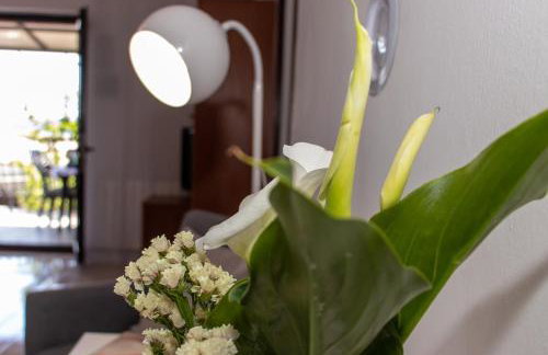 Apartman Turina M - Photo 12