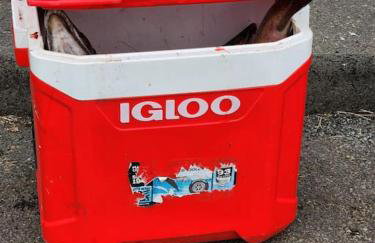 30 Peaceful Acres - Foto 57