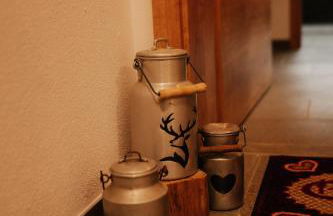 Wohnung Finstermünz Neues Highlight Fliegenfischen auf der Isar - Foto 22