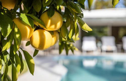 Casa Cactus by ACME House Company - Foto 9