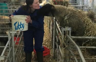 Lagavulin 3 - Foto 44