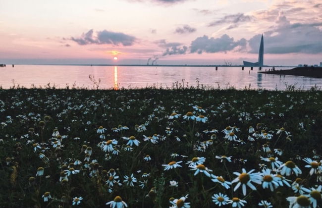 AELITA Apartment with Port View - Foto 53