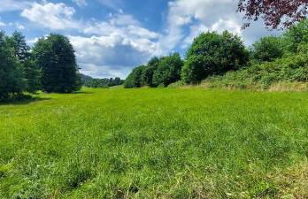 Fewo Rehblick im Wander und Mountainbike Paradies Odenwald - Photo 49