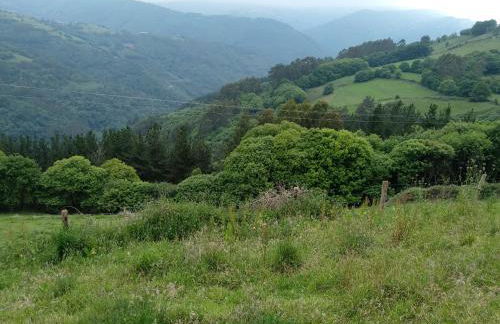 La Casina de Biescas - Photo 27