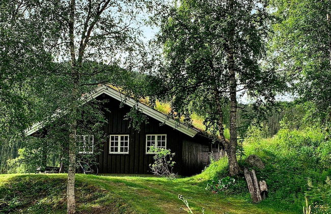 8 Person Holiday Home in Flatdal - Foto 14