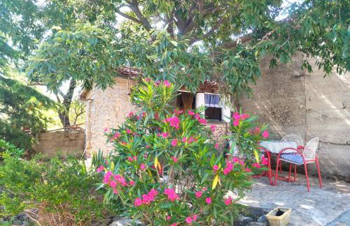 Apartment Tuja - Foto 20