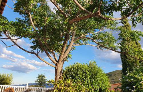 Cresta Azul - Foto 74