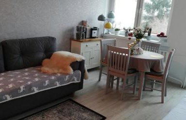 Kawalerka przy termach - Foto 19