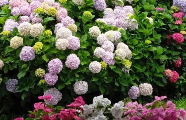 Apartamentos rurales AGIÑAGA - Foto 55