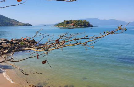 CASA_ESTRELA - Foto 15